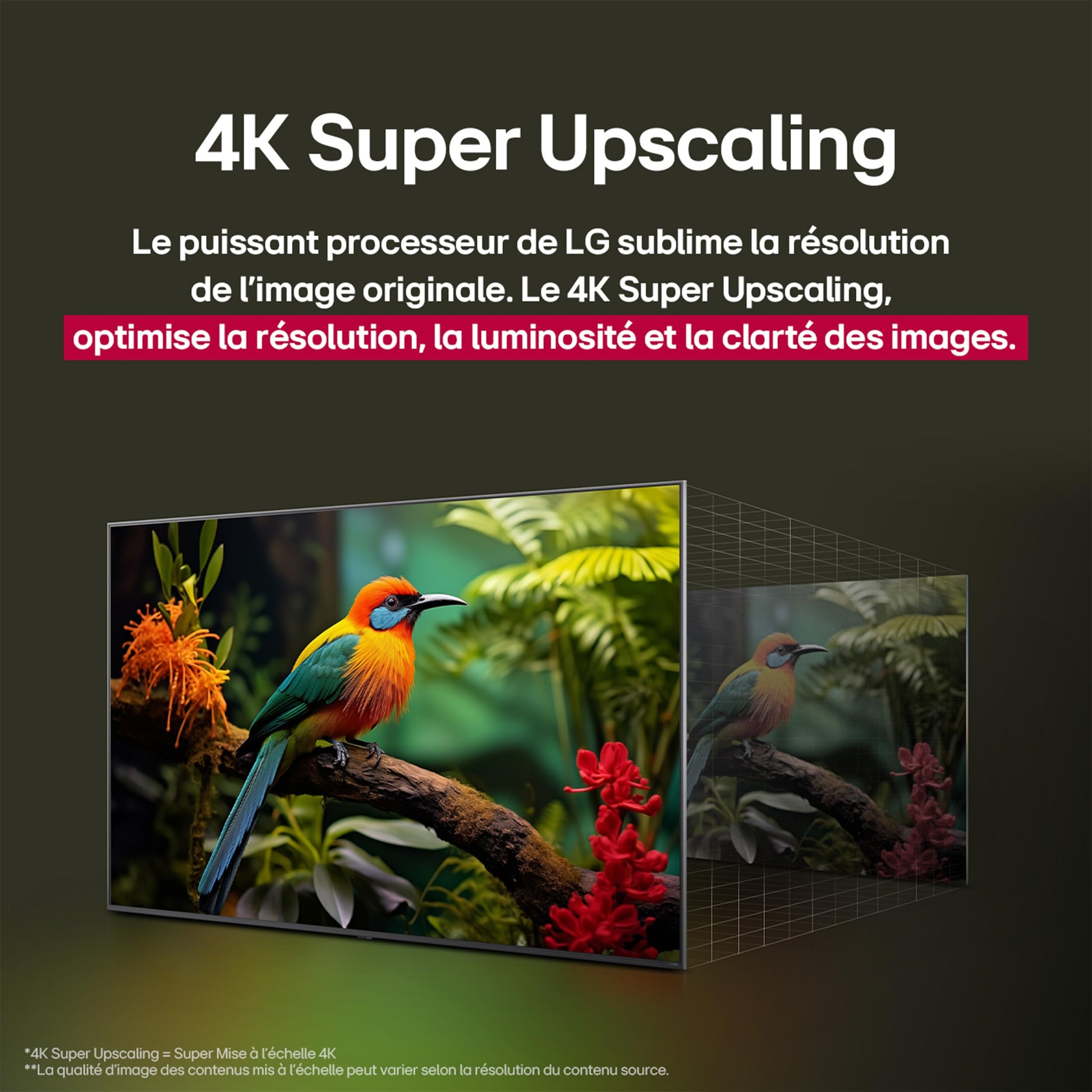 LG TV QNED AI 2025 | 50QNED8E | 50'' (126cm) | 4K UHD | HDR10 | webOS 25 | Télécommade AI Magic Remote | Alexa, Google Assistant | Netflix Disney+ CANAL+ Prime Video | AirPlay 2 | Luminosité éclatante