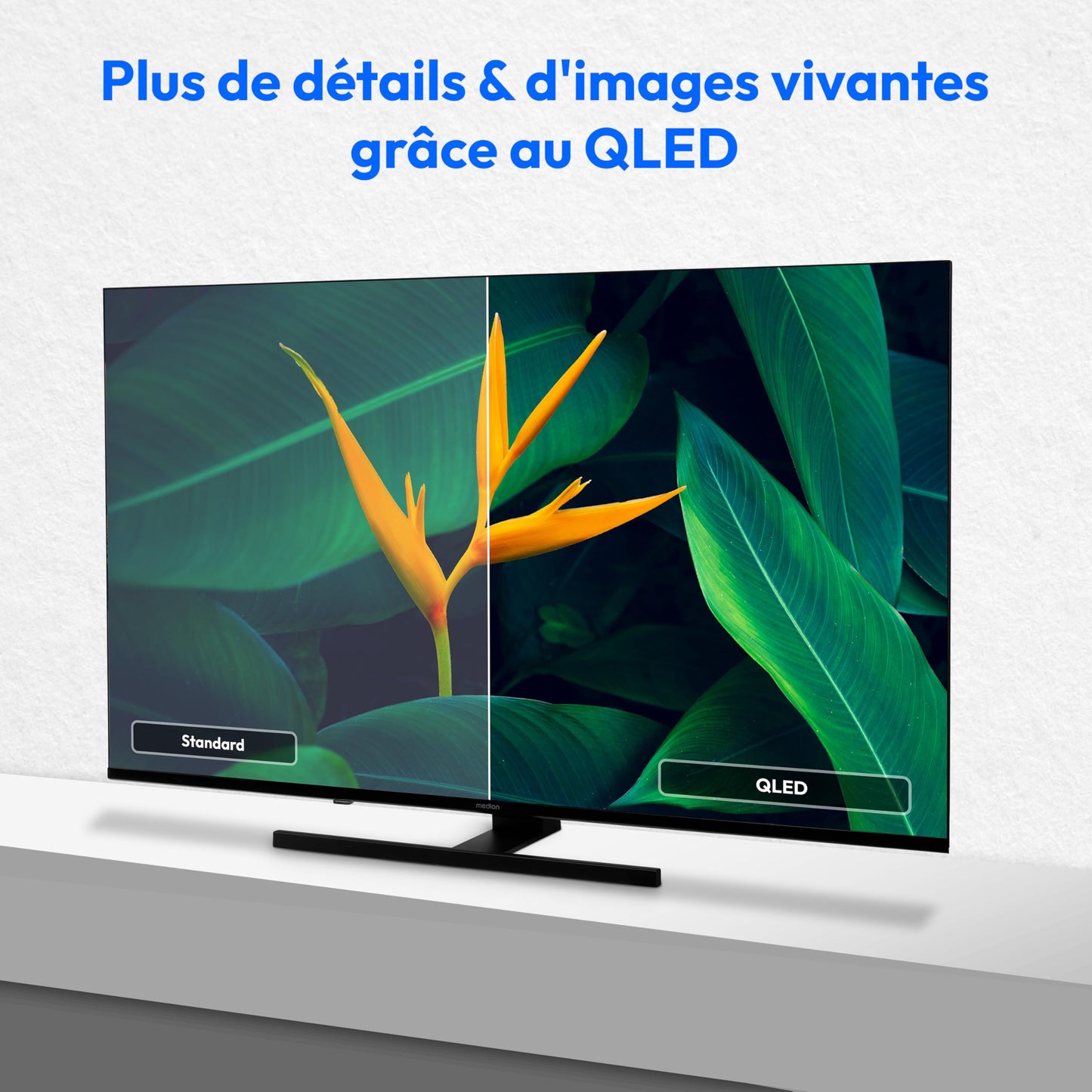 MEDION TV 55 Pouces 4K (138,8 cm) QLED Television (Smart TV 4K, Dolby Vision HDR, VIDAA Store, Prime Video, Disney+, DAZN, Paramount+, DTS X, Dolby Atmos, PVR, Bluetooth, MD 855600)